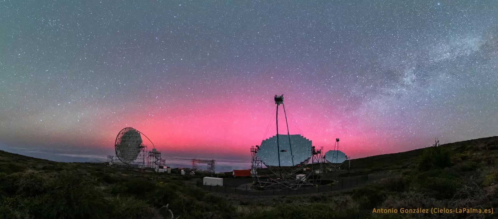 Lealtad y auroras boreales. #21